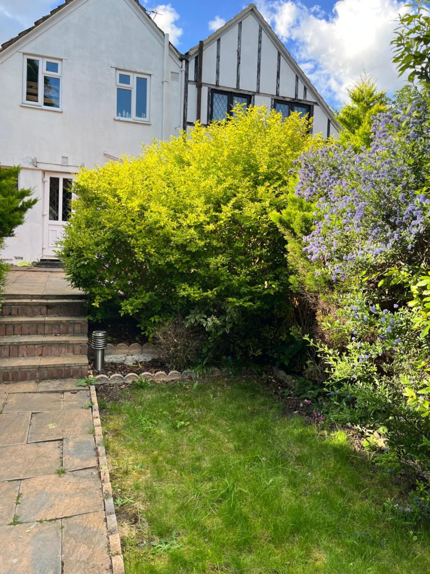 Belvedere Cosy Garden Cottage מראה חיצוני תמונה
